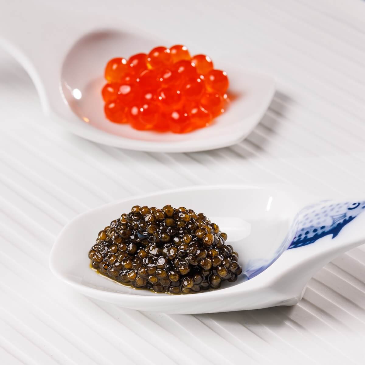 Coffret de Noël 2025