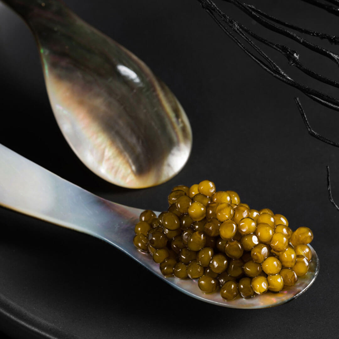 Caviar d'Esturgeon KALUGA