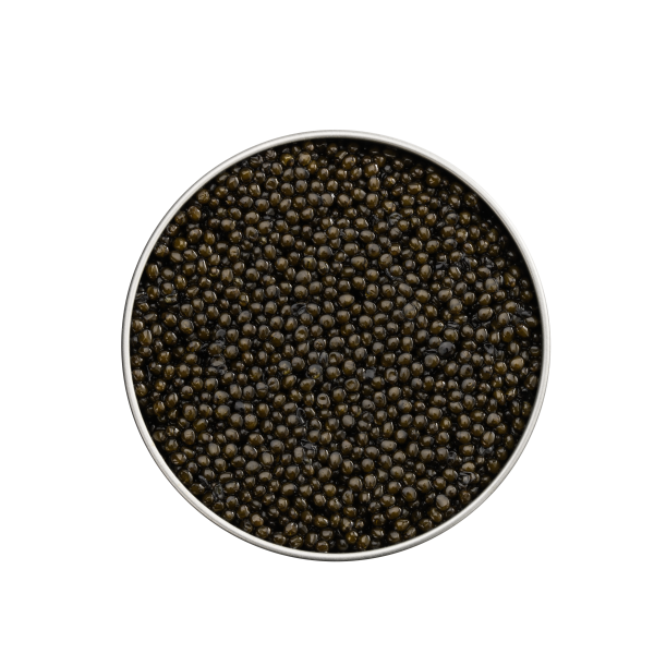 Caviar d'Osietre